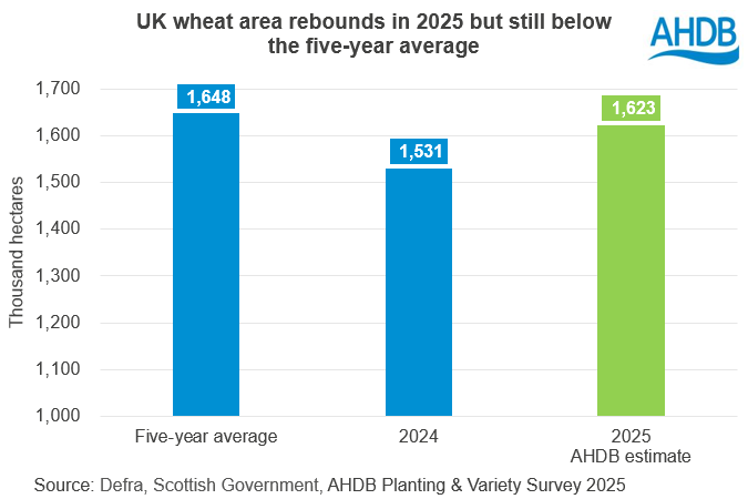 Chart 1 11 06 202572.png